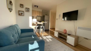 Acogedor departamento nuevo con piscina, Temuco